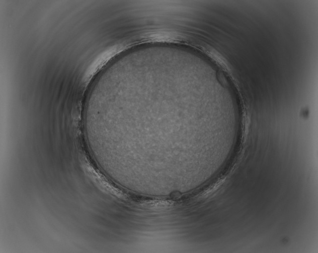 X0000116580930200912312011