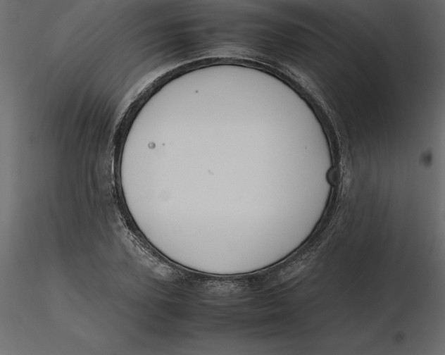 X0000116580931200912312011