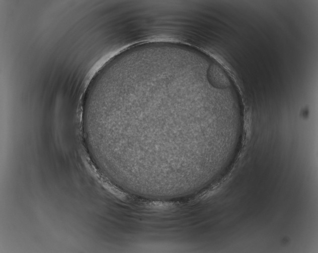 X0000116580933200912312011