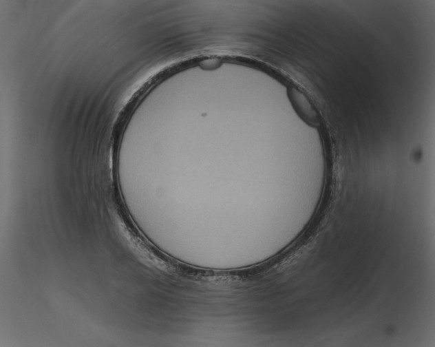 X0000116580934200912312011