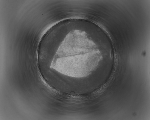 X0000116580935200912312011