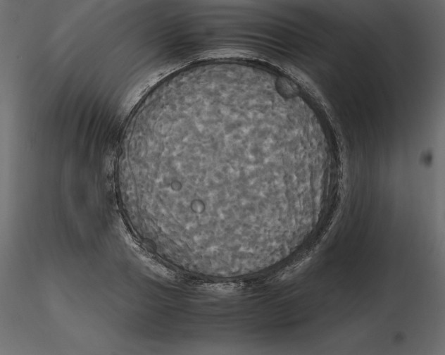 X0000116580937200912312011