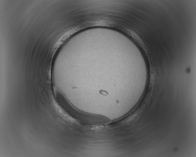 X0000116580938200912312011