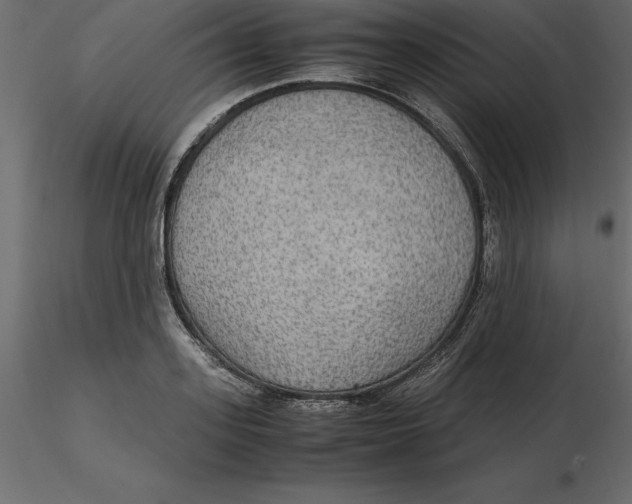 X0000116580939200912312012