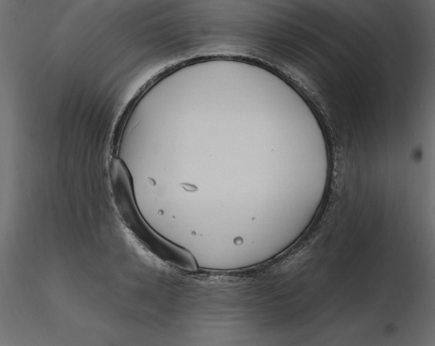 X0000116580942200912312012