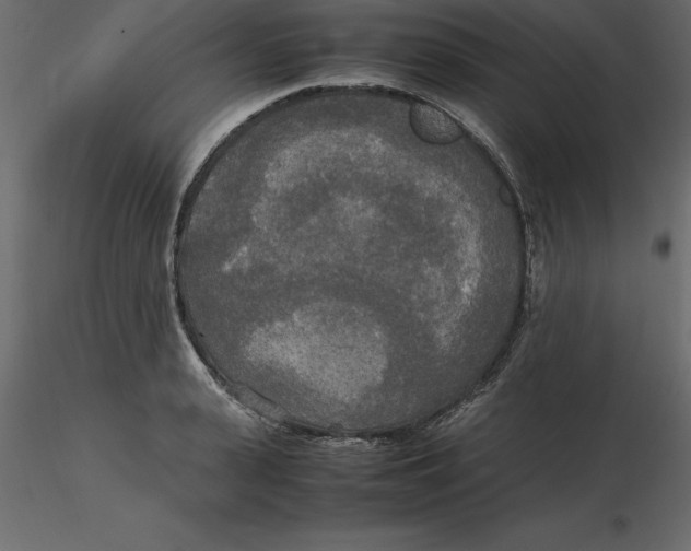 X0000116580943200912312012