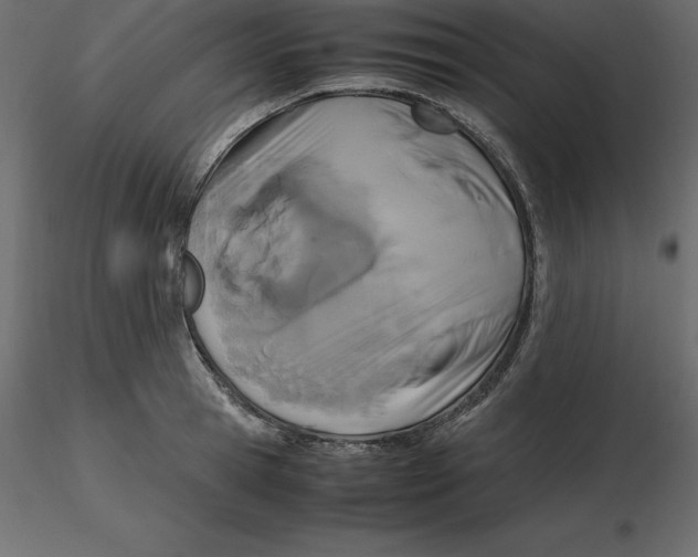 X0000116580945200912312012