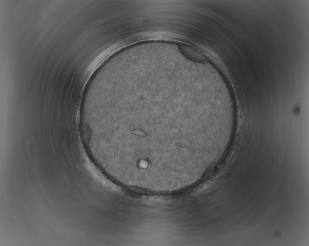 X0000116580946200912312012