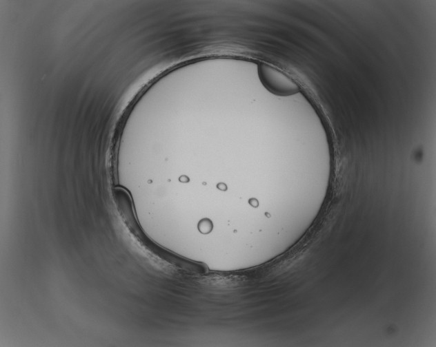 X0000116580947200912312012