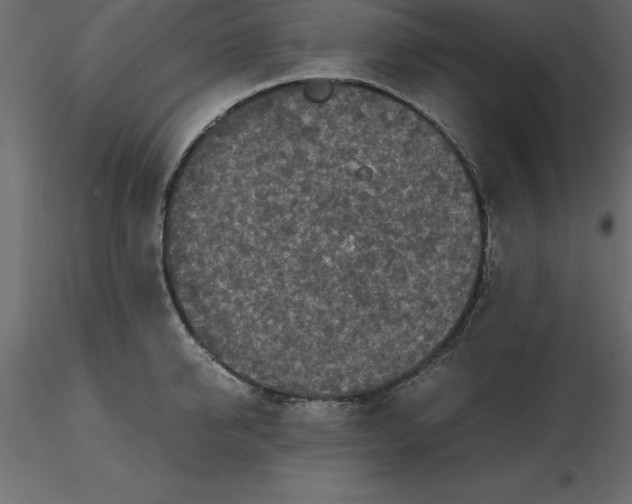 X0000116580950200912312012