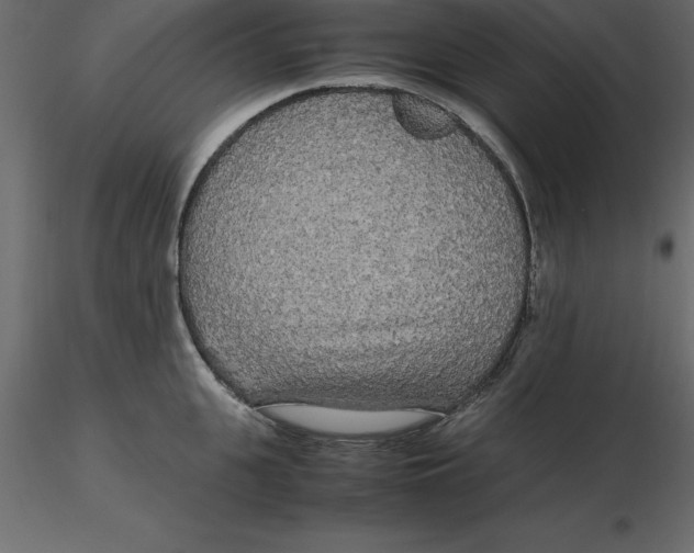 X0000116580951200912312012