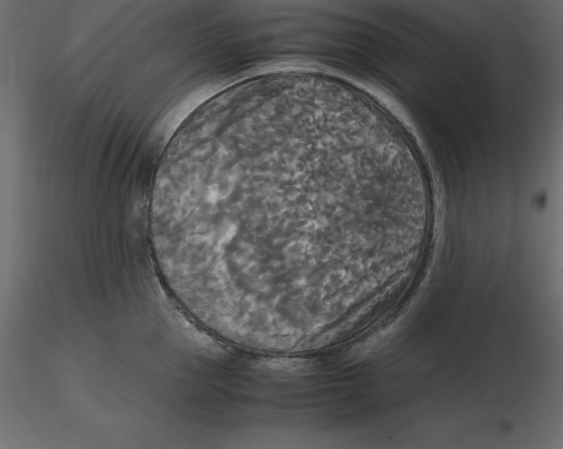 X0000116580953200912312012