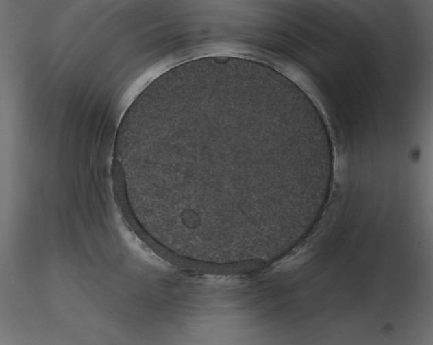 X0000116580954200912312012