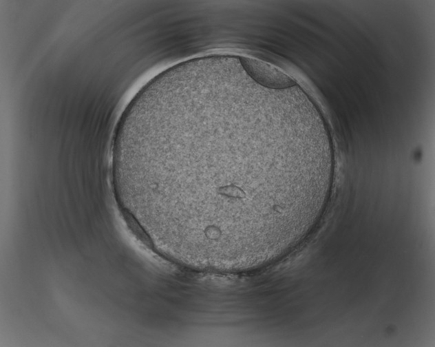 X0000116580955200912312012