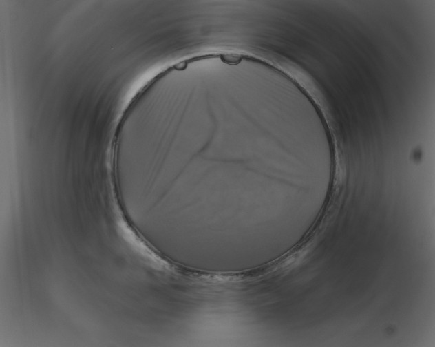 X0000116580958200912312012