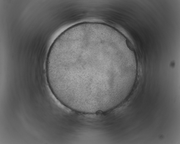 X0000116580959200912312012