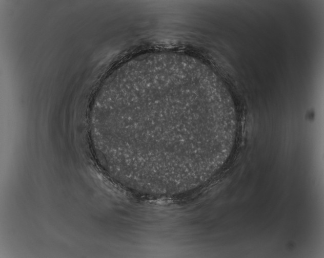 X0000116580961200912312011