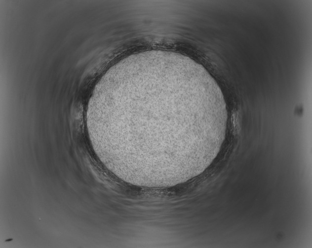 X0000116580963200912312011