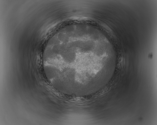 X0000116580966200912312011