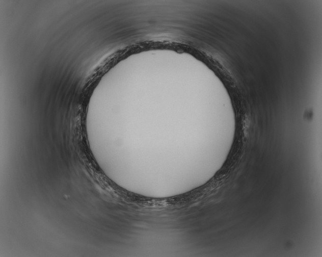 X0000116580968200912312011