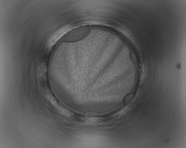 X0000116580969200912312011