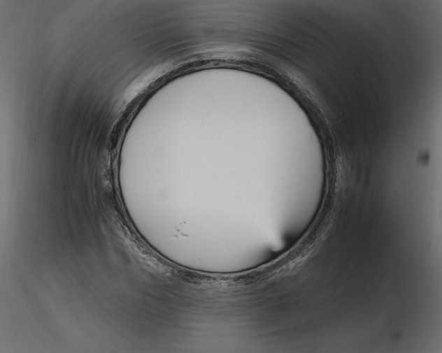 X0000116580970200912312011