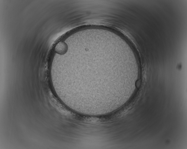 X0000116580971200912312011