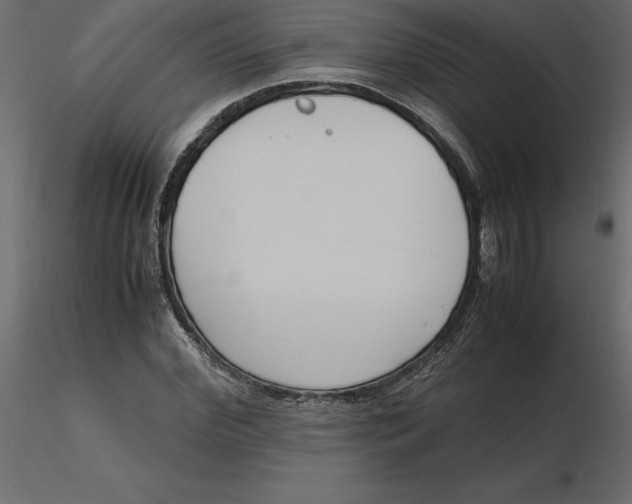 X0000116580972200912312011