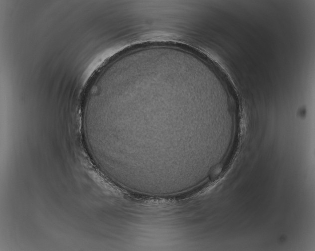 X0000116580973200912312011