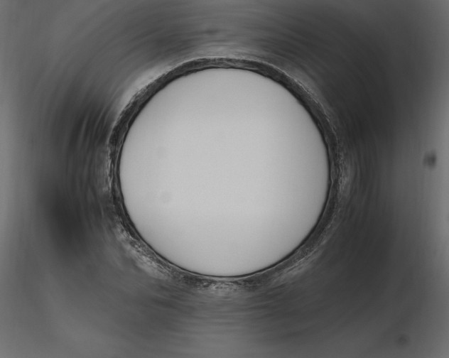 X0000116580974200912312011