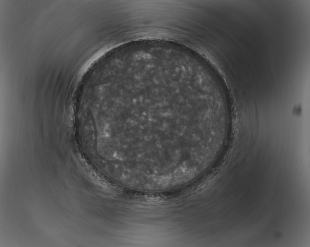 X0000116580975200912312011