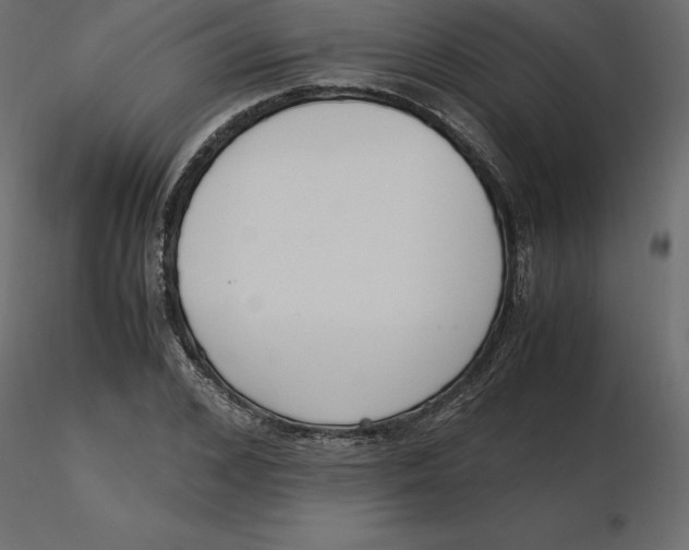 X0000116580976200912312011