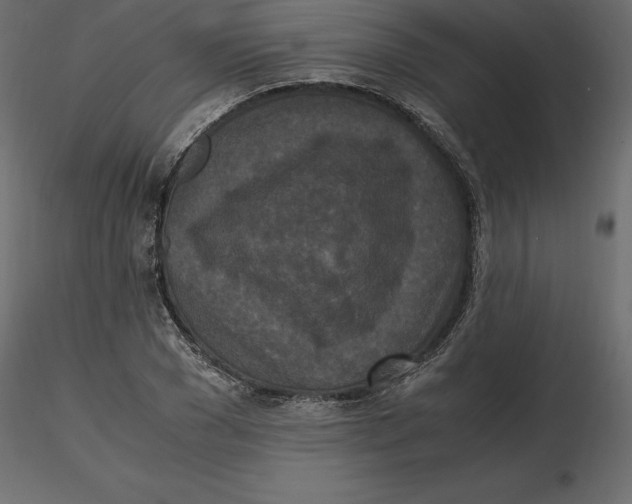 X0000116580977200912312011