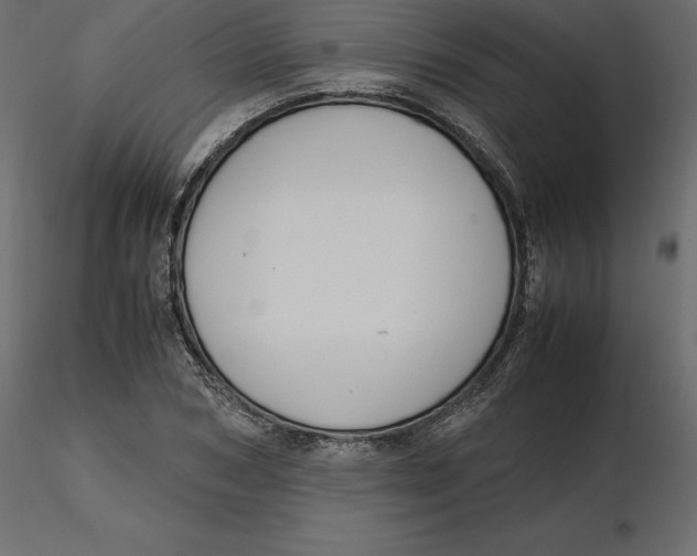 X0000116580978200912312011