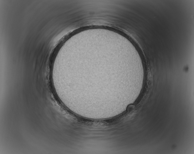 X0000116580979200912312011