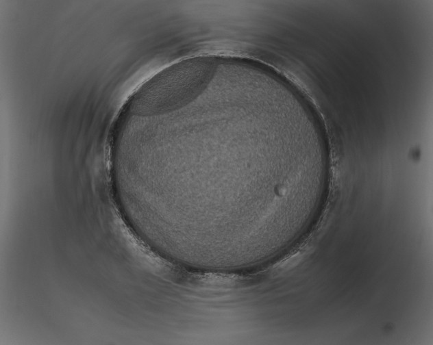 X0000116580981200912312011