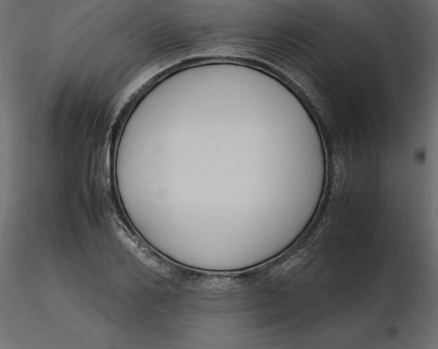 X0000116580982200912312011