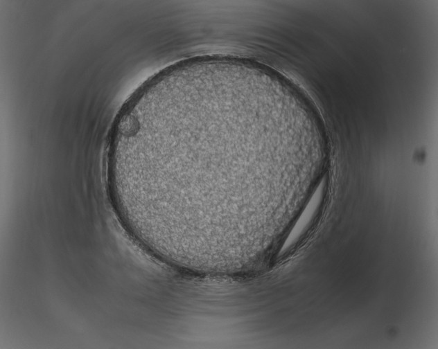 X0000116580983200912312011