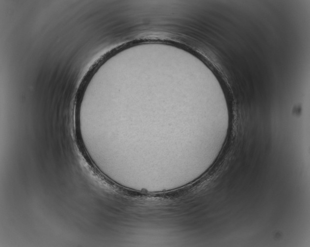 X0000116580984200912312011