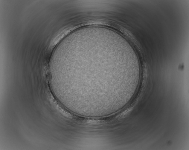 X0000116580985200912312011