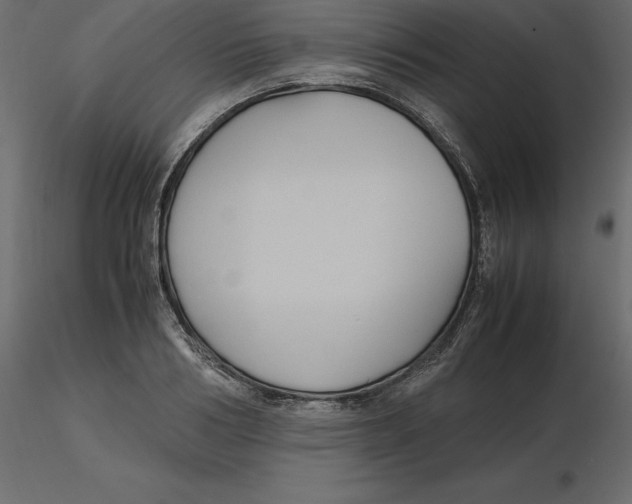 X0000116580986200912312011