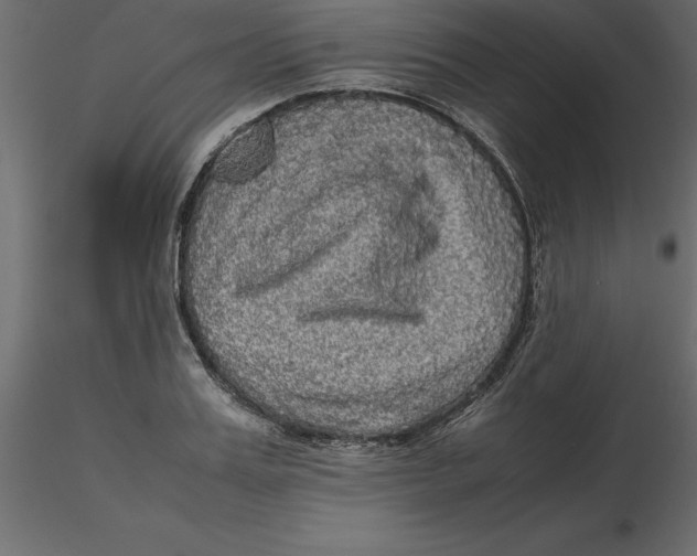 X0000116580987200912312011