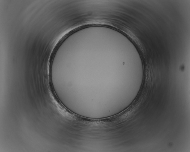 X0000116580988200912312011