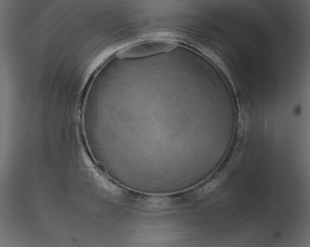 X0000116580989200912312011