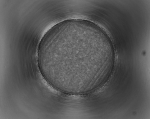 X0000116580990200912312011