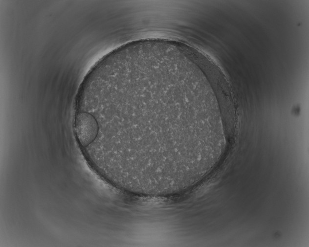 X0000116580991200912312011