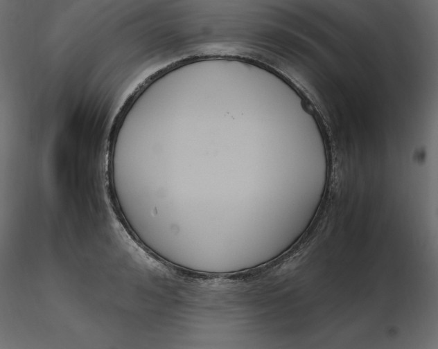 X0000116580992200912312011