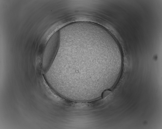 X0000116580993200912312011