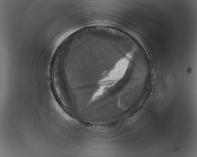 X0000116580995200912312011