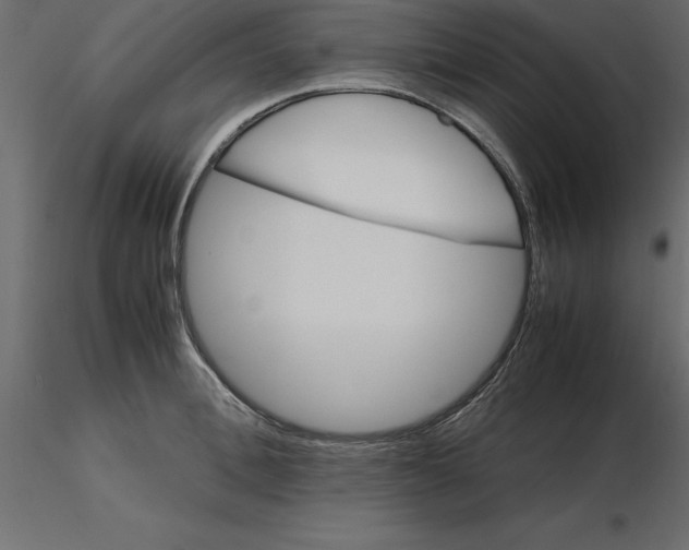 X0000116580996200912312011